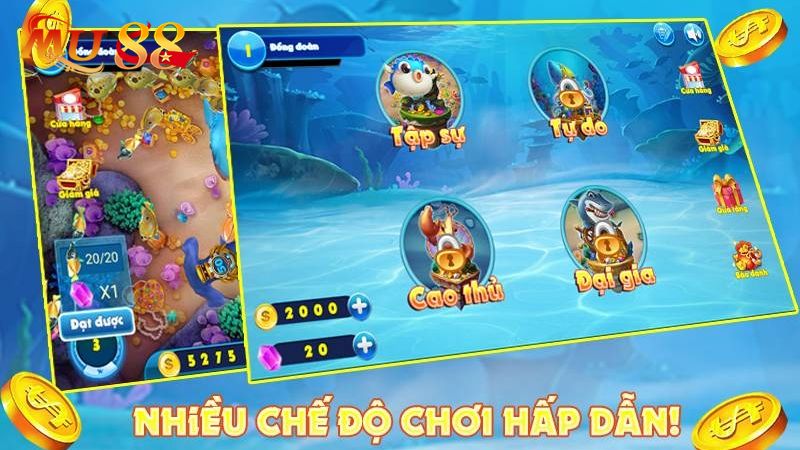 Săn cá tại đây có nhiều hình thức lựa chọn